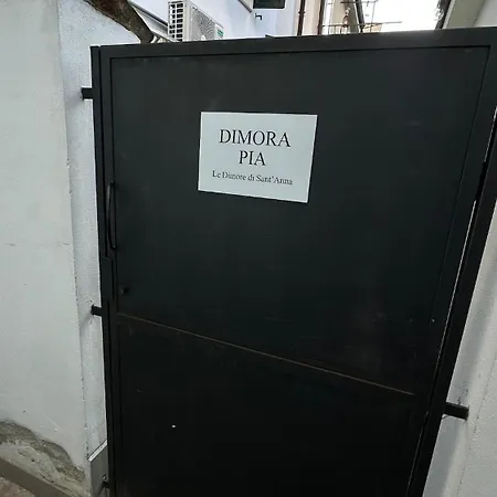 Dimora Pia Пьяченца